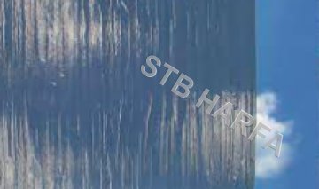 Vchodové dveře 95x205 zlatý dub - TROJSKLO